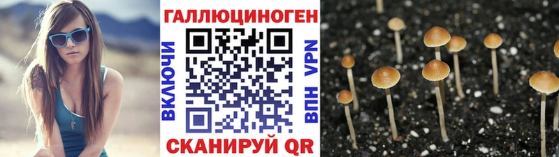 Галлюциногенные грибы Psilocybe  Спас-Деменск 